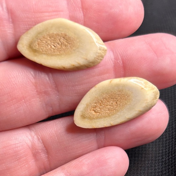 VTG Unique Resin Fake petrified wood screw back earrings. Unbranded - Picture 6 of 6